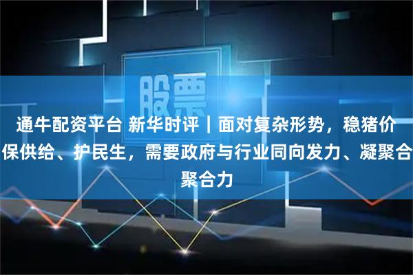 通牛配资平台 新华时评｜面对复杂形势，稳猪价、保供给、护民生，需要政府与行业同向发力、凝聚合力